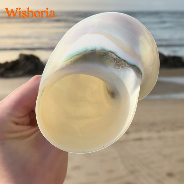 Ariel Glass