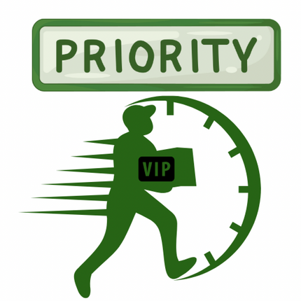 VIP Priority Processing+ Skip The Line + Shipping Insurance