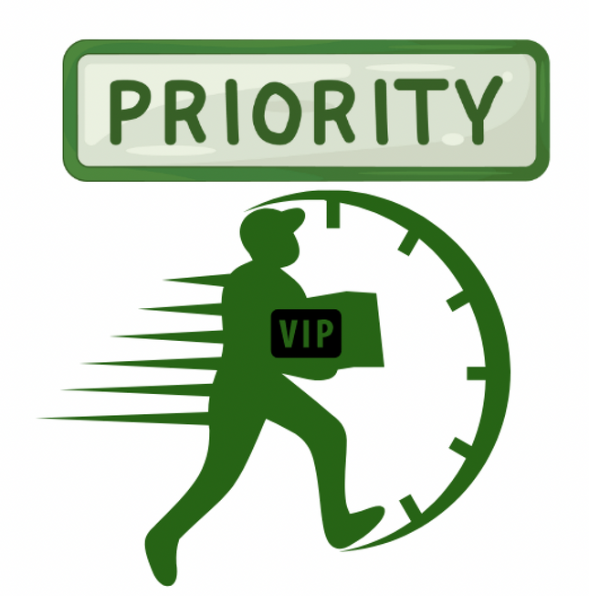 VIP Priority Processing+ Skip The Line + Shipping Insurance